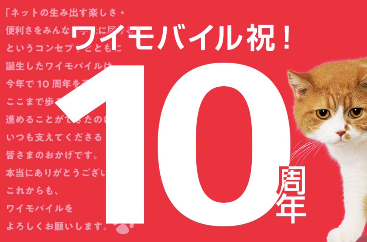 やっしーくん☀️スマホマスター tweet media