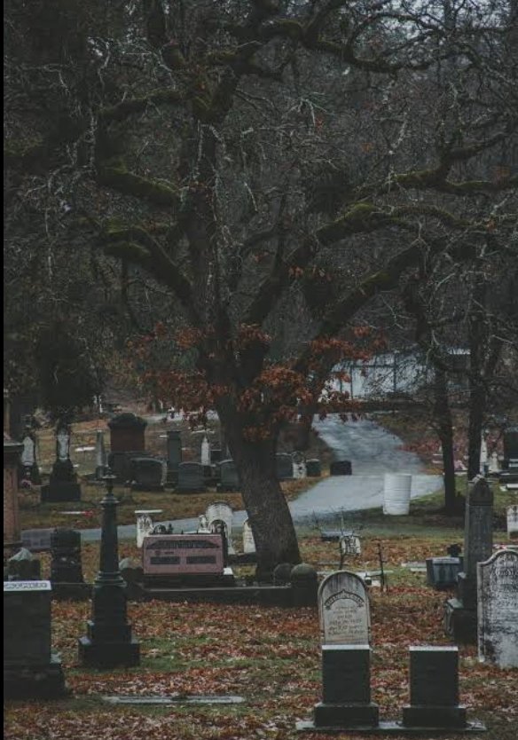 नसीहत  के लिए क़ब्रिस्तान से अच्छी और कोई जगह नहीं है !!