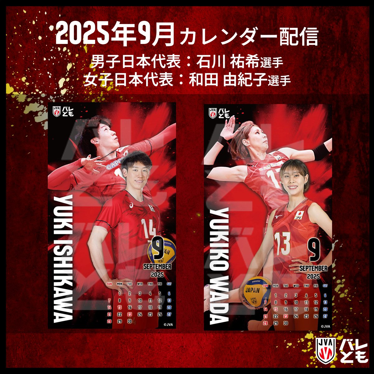 バレとも 会員限定 2025年9月カレンダー配信📅 ＼ 8月のカレンダーは