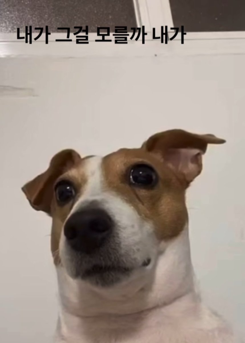 동생이
누나 다시 살찐것같다고함