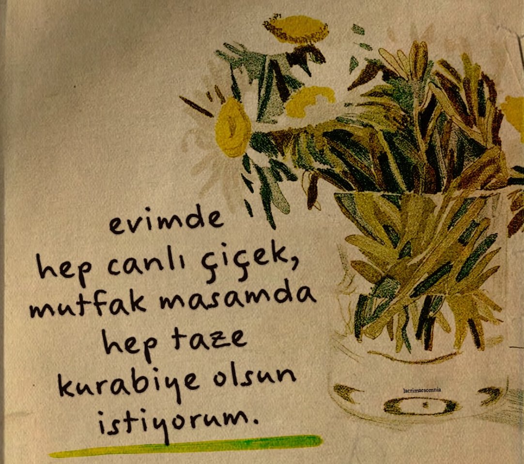 birgünayşe (@birgunaysee) on Twitter photo 