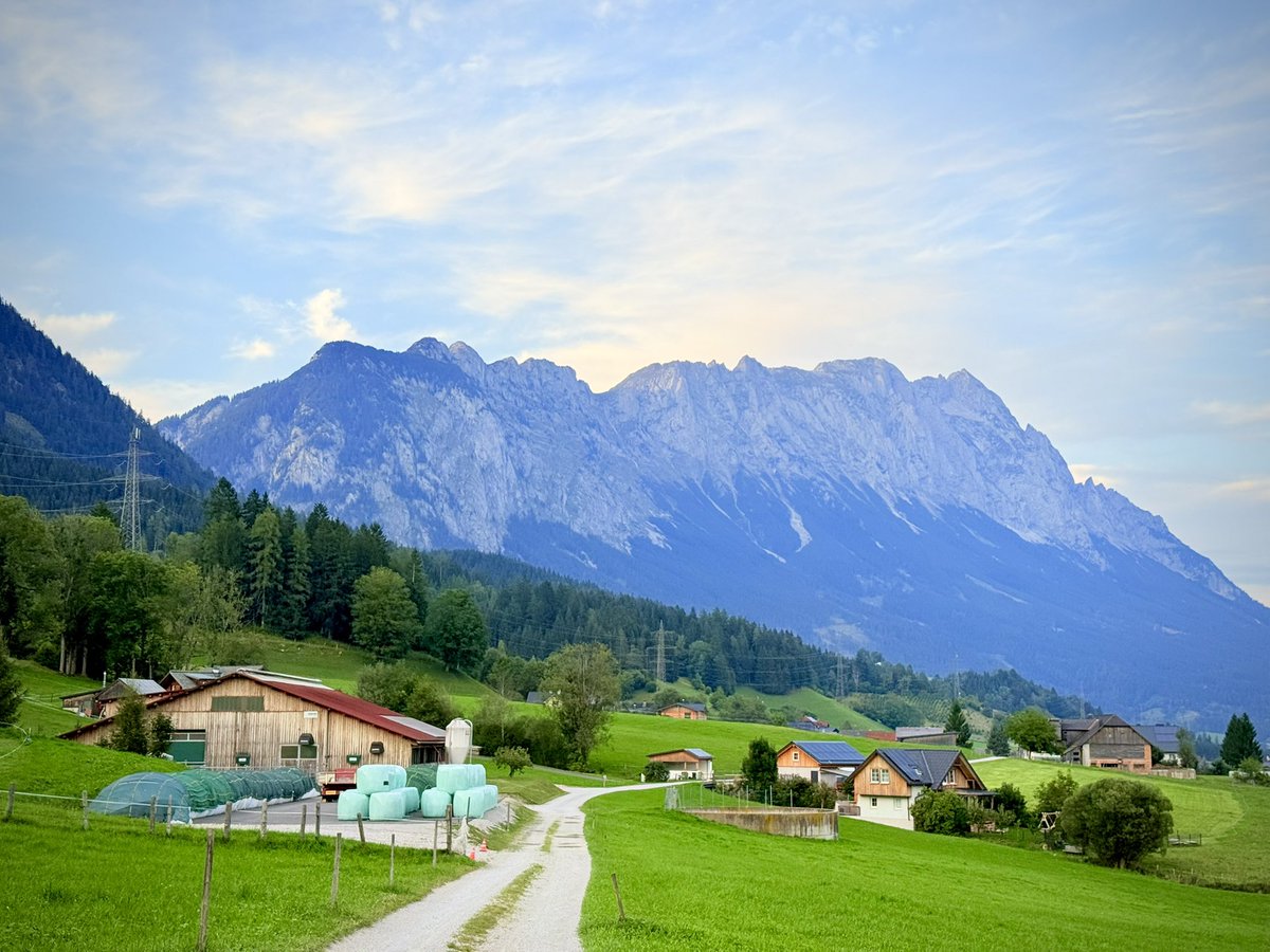 Chef Saud tweet media