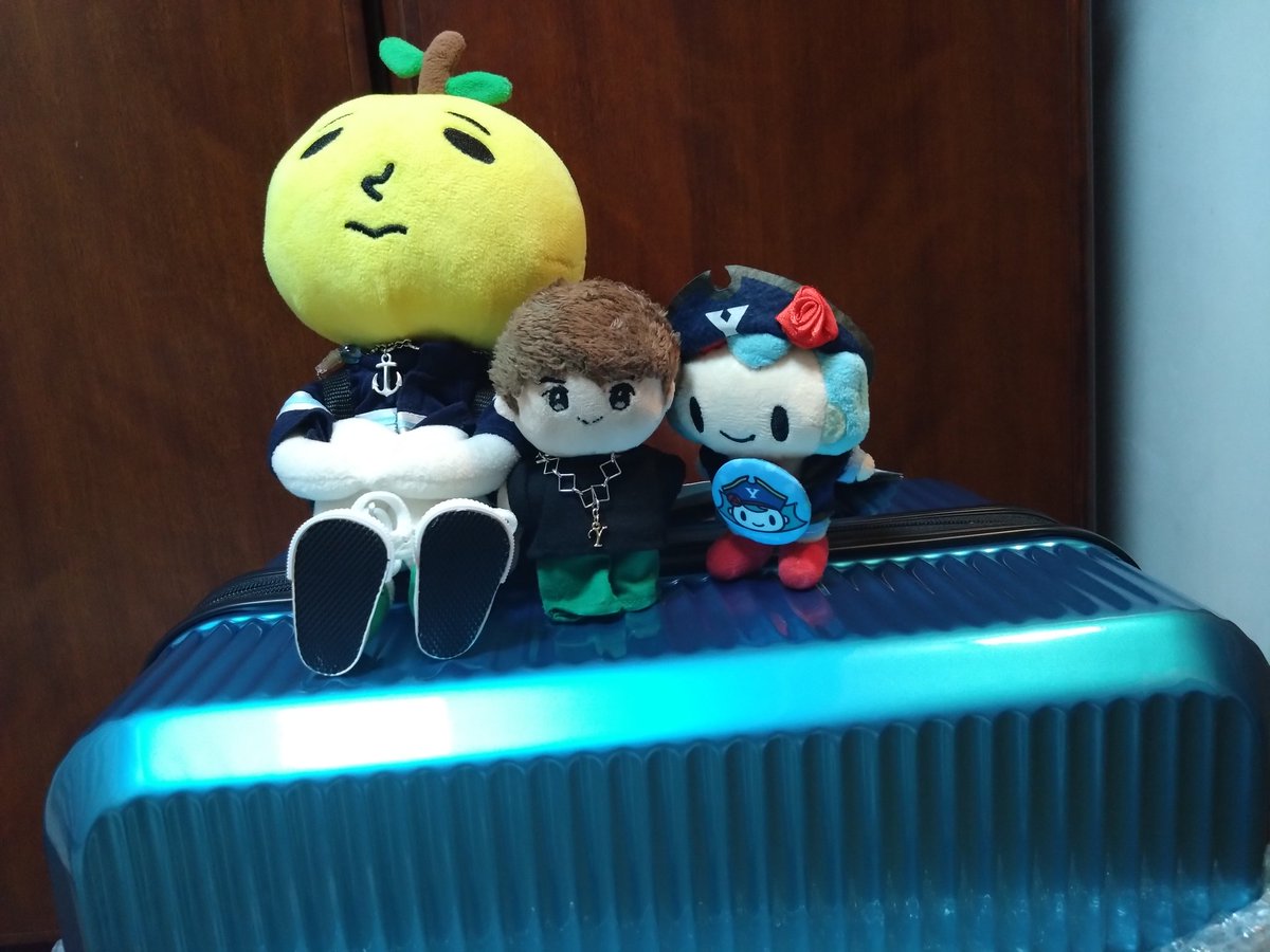 ゆずᵕ̈*様 ゆずねこ🍊🐱 on X: 