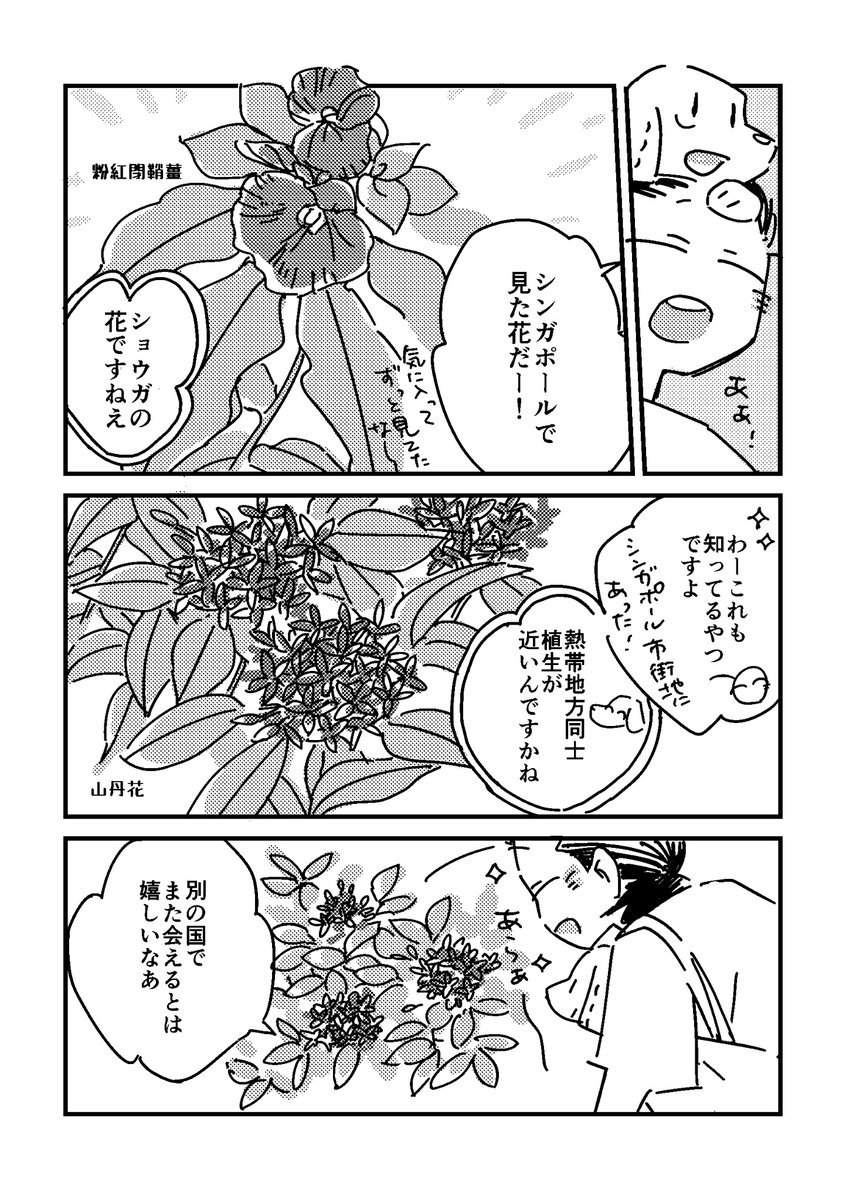 こまきときこ/Tokiko Komaki@つれづれ語学日記 tweet media