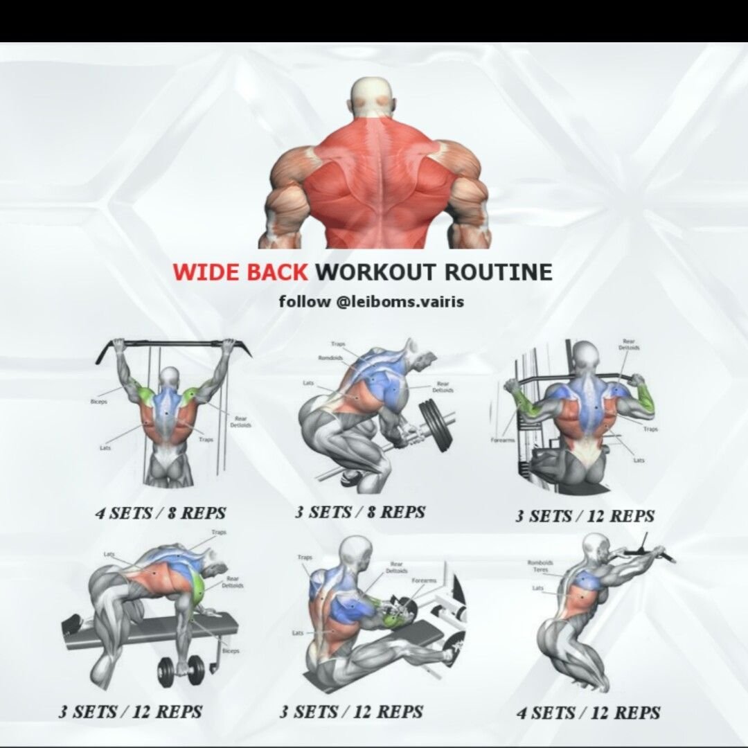 Wide Back Workout Routine
