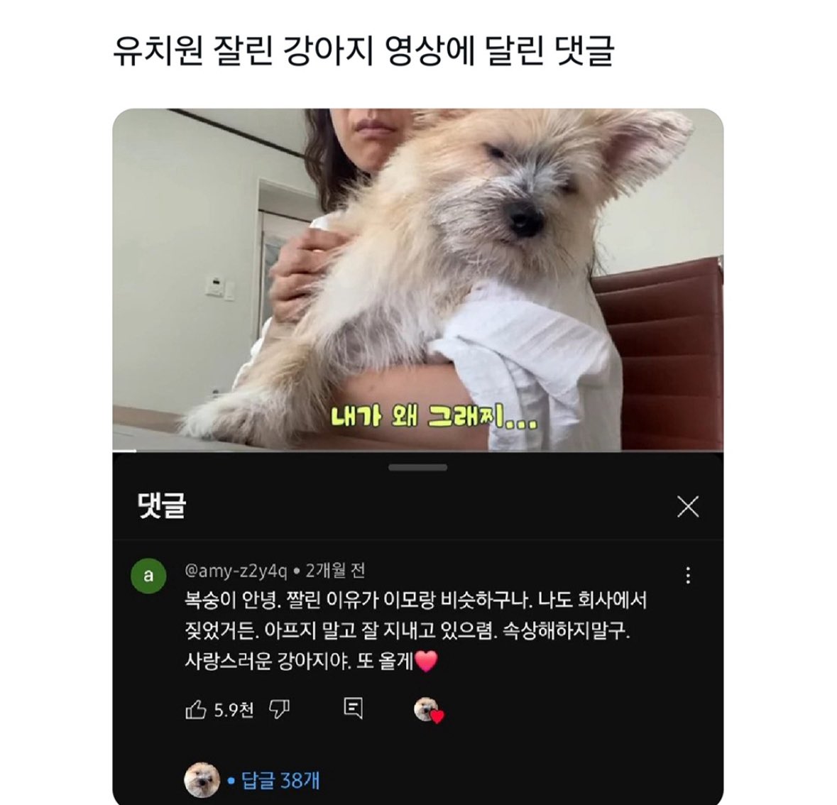 북크북크 (@akzkfltm2) on Twitter photo 