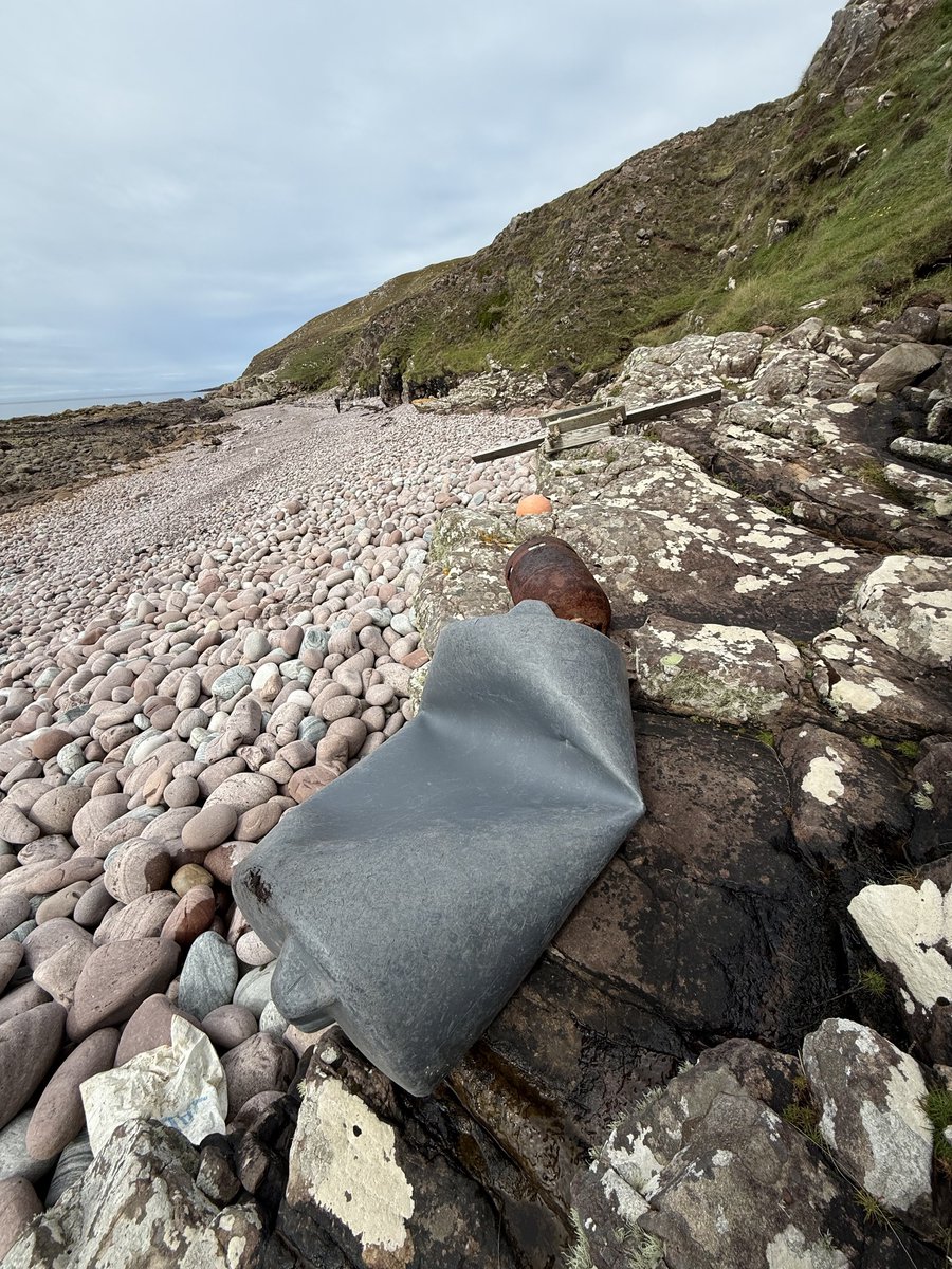 UllapoolSharkAmbassador tweet media