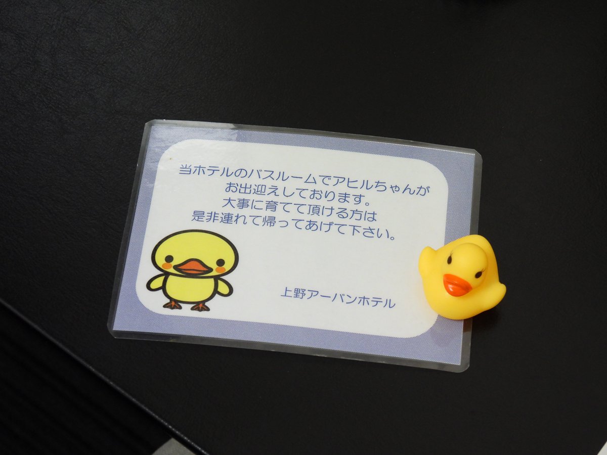 昨日泊まった上野のホテル、こんなおもてなしがあってとてもほっこりしました。あひるさんはもちろん家に連れて帰りました。次に上京するときもまたここに泊まりたいです。