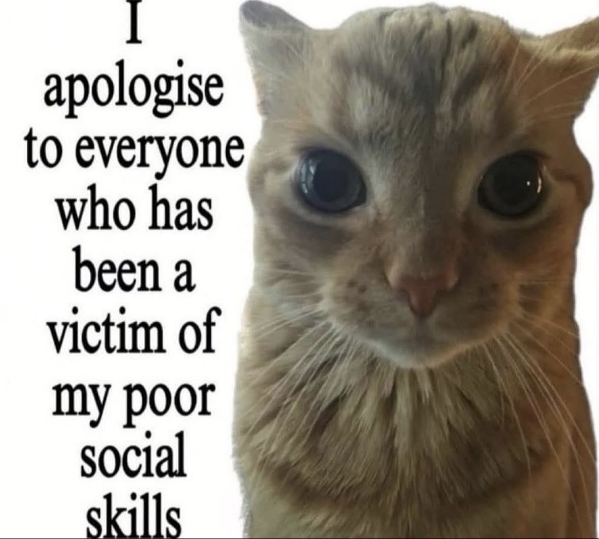 ADHD Memes (@adhdforreal) on Twitter photo 