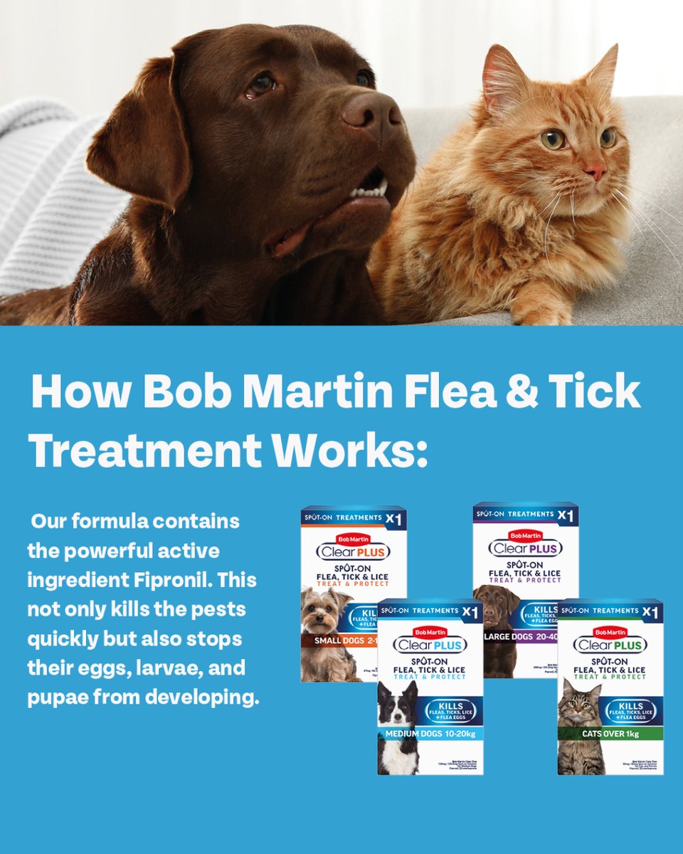 Wondering how Bob Martin Flea &amp; Tick treatment works? It uses a fast-acting insecticide that targets fleas’ and ticks’ nervous systems, killing them quickly without bothering your pet.