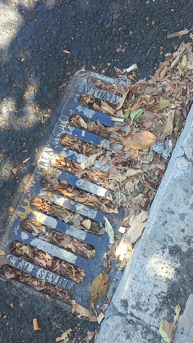 A la espera de las primeras lluvias del otoño en La Palmera.

<a href="/Ayto_Sevilla/">Ayuntamiento de Sevilla</a>
<a href="/SevillaSeMuere/">Sevilla💀 Se Muere</a>
<a href="/SevillaSurvive/">Superviviente_Sevillano</a>
<a href="/SevillanoIndi/">Sevillano Indignado</a>
<a href="/SevillaSusia/">SEVILLA SUSIA</a>
<a href="/eveliarincon/">Evelia Rincón</a>