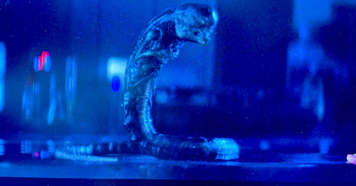 #オフトゥンぽーとれーと 🐱
#メディア欄の耕しなおし🐈🐾

372「エイリアンアース第4話」

チッキショー

全然展開が読めんわい

ＯＭＯＲＯ－ＳＵＧＩＲＵ