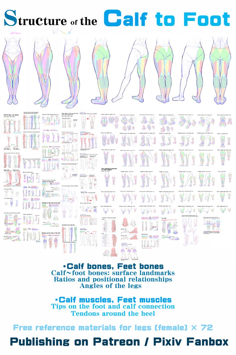 PERSONAL NOTE: Drawing Legs Tips

Structure of the calf to foot
Patreon
patreon.com/posts/structur…
FANBOX
mangamaterialsen.fanbox.cc/posts/477959

Leg: Summary of the common mistake and the correcting method
Patreon
patreon.com/posts/leg-summ…
FANBOX
mangamaterialsen.fanbox.cc/posts/513307
