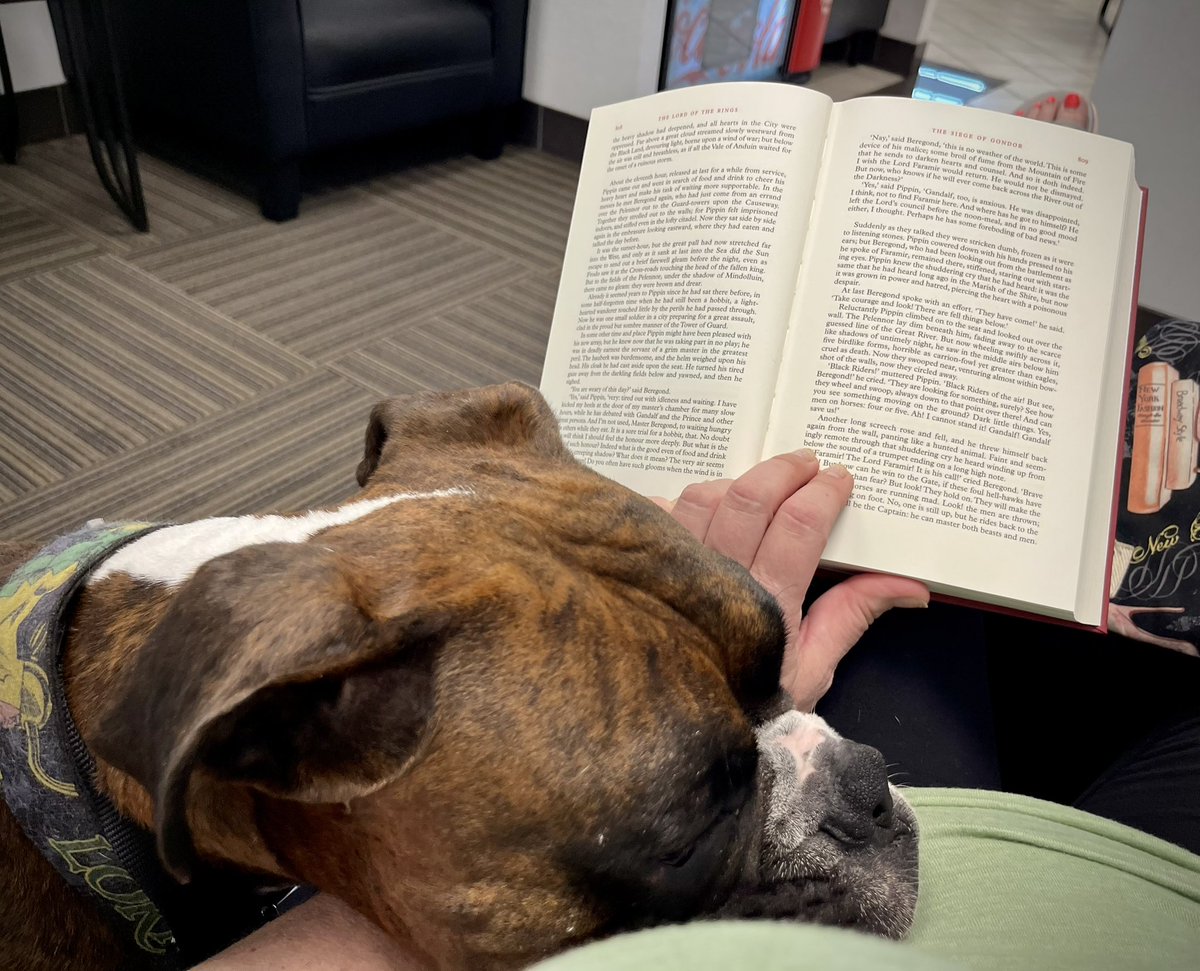 Glamazon72's tweet image. Hangin’ at Acura for car service was fun til all the dudes went back to work/weren’t fawning over him anymore 🤦🏼‍♀️🐶😂
He’s bored w/ me reading n keeps looking at me like I owe him😂😂😂
#Boxer #NeedyBoxer #BoxerLife #boxersoftwitter #BoxerTax #Acura #Loki