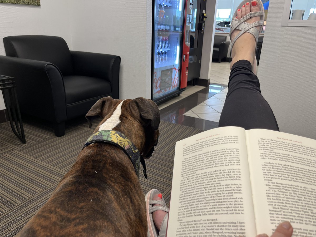 Glamazon72's tweet image. Hangin’ at Acura for car service was fun til all the dudes went back to work/weren’t fawning over him anymore 🤦🏼‍♀️🐶😂
He’s bored w/ me reading n keeps looking at me like I owe him😂😂😂
#Boxer #NeedyBoxer #BoxerLife #boxersoftwitter #BoxerTax #Acura #Loki