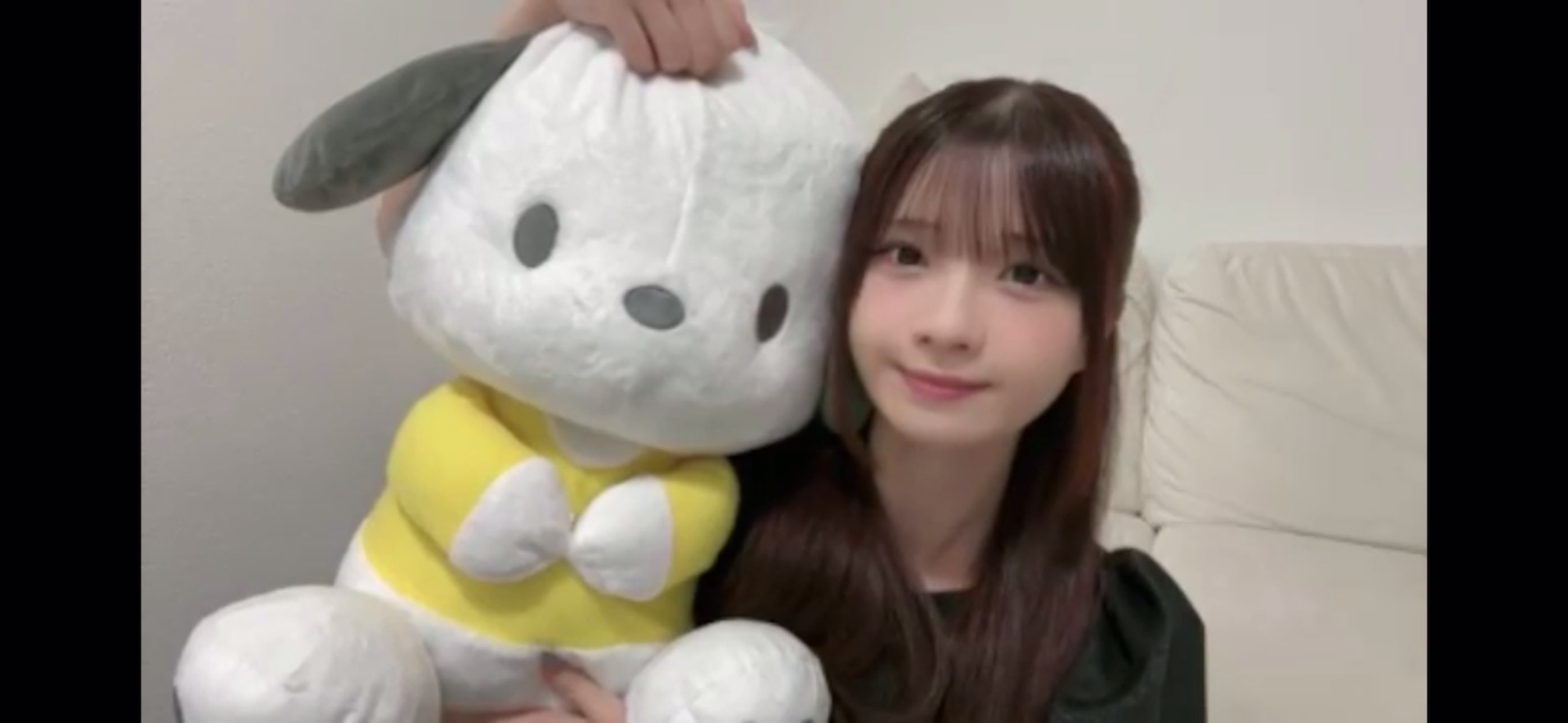 わんこっち　菅波美玲 菅波 美玲 on X: 