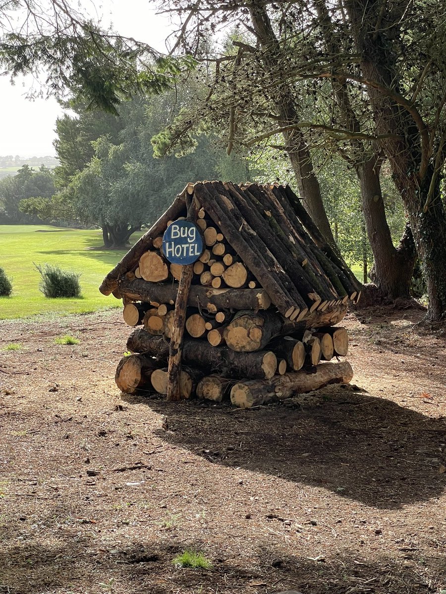 Checking the grades new 10th green complex with Darren Cotter at the controls <a href="/kanturkgolfclub/">@KanturkGolfClub</a> 

And cool bug hotel 

<a href="/PeteEarlie/">Peter</a>