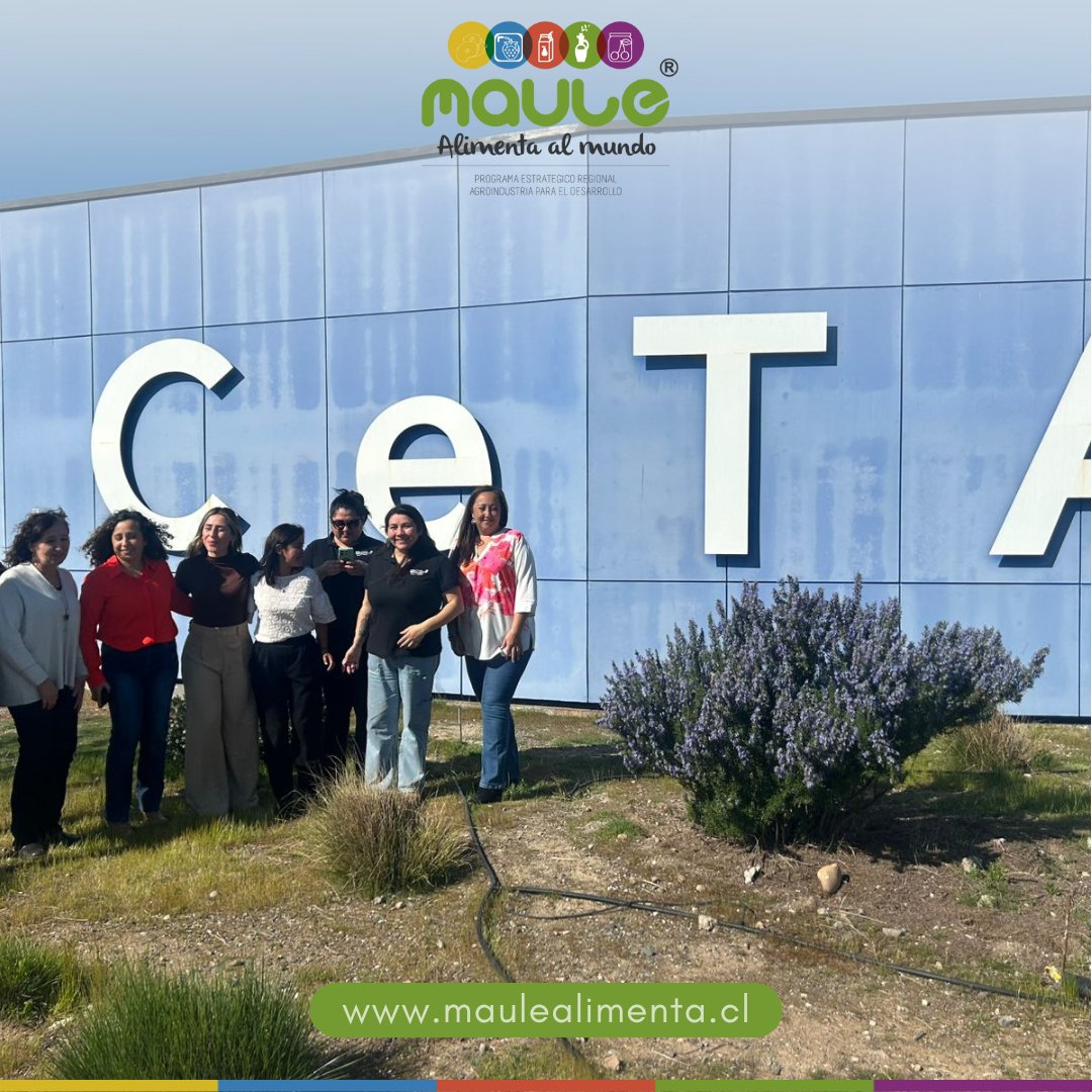 Junto a #Legumy participamos del Taller tecnologías de transformación de alimentos  en <a href="/cetalimentos/">CeTA Alimentos</a> 👉Proyecto <a href="/FIA_Chile/">FIA</a>  de <a href="/agronomiauchile/">Agronomía UChile</a> 
Objetivo: crear un cereal nutritivo a base de granos y hoja de amaranto, cultivo similar a la quinoa
Somos <a href="/CorfoMaule/">Corfo Maule</a> via <a href="/CodesserM/">Codesser Maule</a>