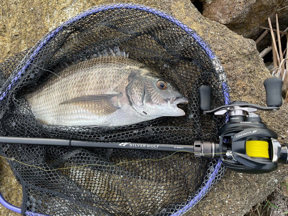 たかにゃん たかにゃん (@taakanyaaaaan) • Instagram photos and videos