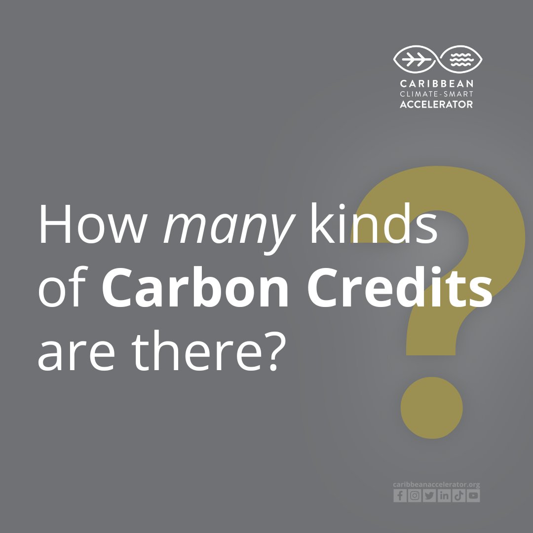 ccs_accelerator's tweet image. 🌍 How well do you know climate action in the Caribbean? 🤔 Test your knowledge with these questions: Let's see how much you know! Share your answers below and tag a friend to join the challenge. 🌱💬 #ClimateAction #QuizTime #TestYourKnowledge
