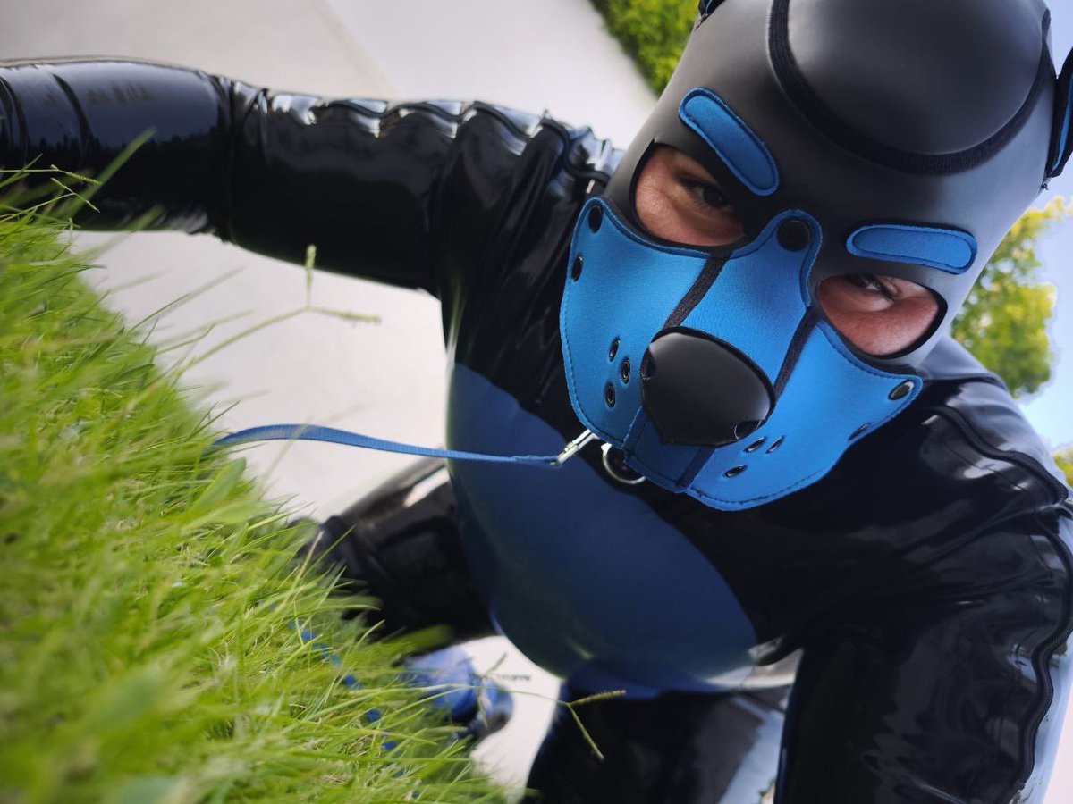 I think Helix sees something, can you see it too? 🐛

📸 @rubberpuparrow.bsky.social

Group + exclusive content 
t.me/pupscorner