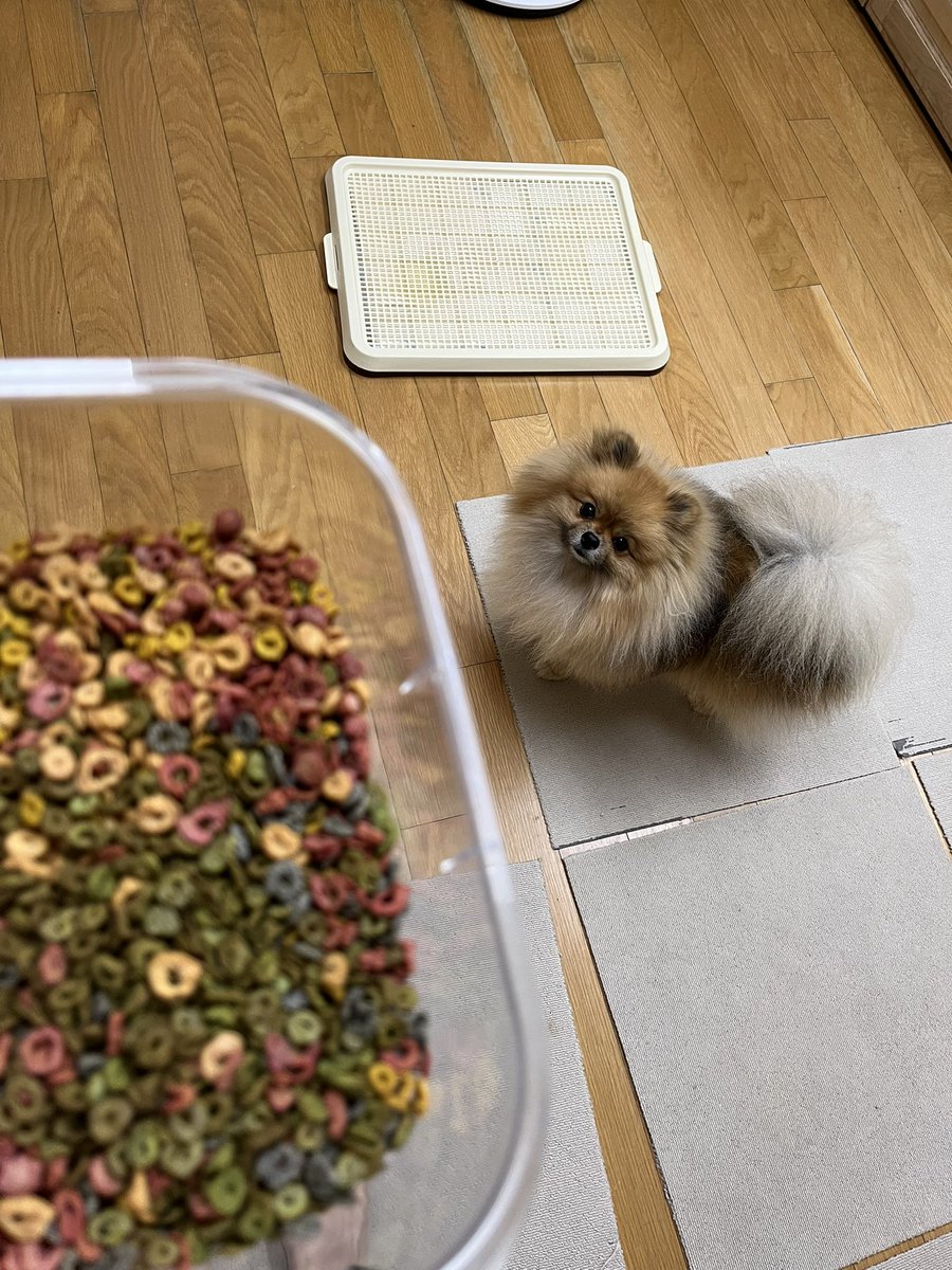 조도매 tweet media