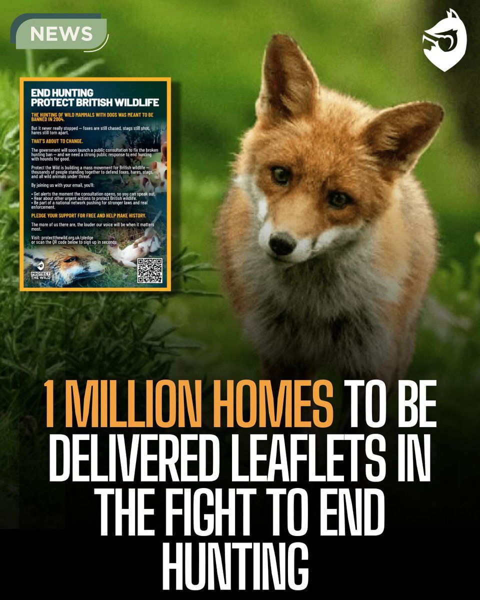 We're set to deliver leaflets to 1 MILLION homes across England and Wales in the coming months as we continue to educate the public about the realities of hunting with hounds in the ongoing campaign to end it for good. 

A huge thank you to every single one of you who have signed