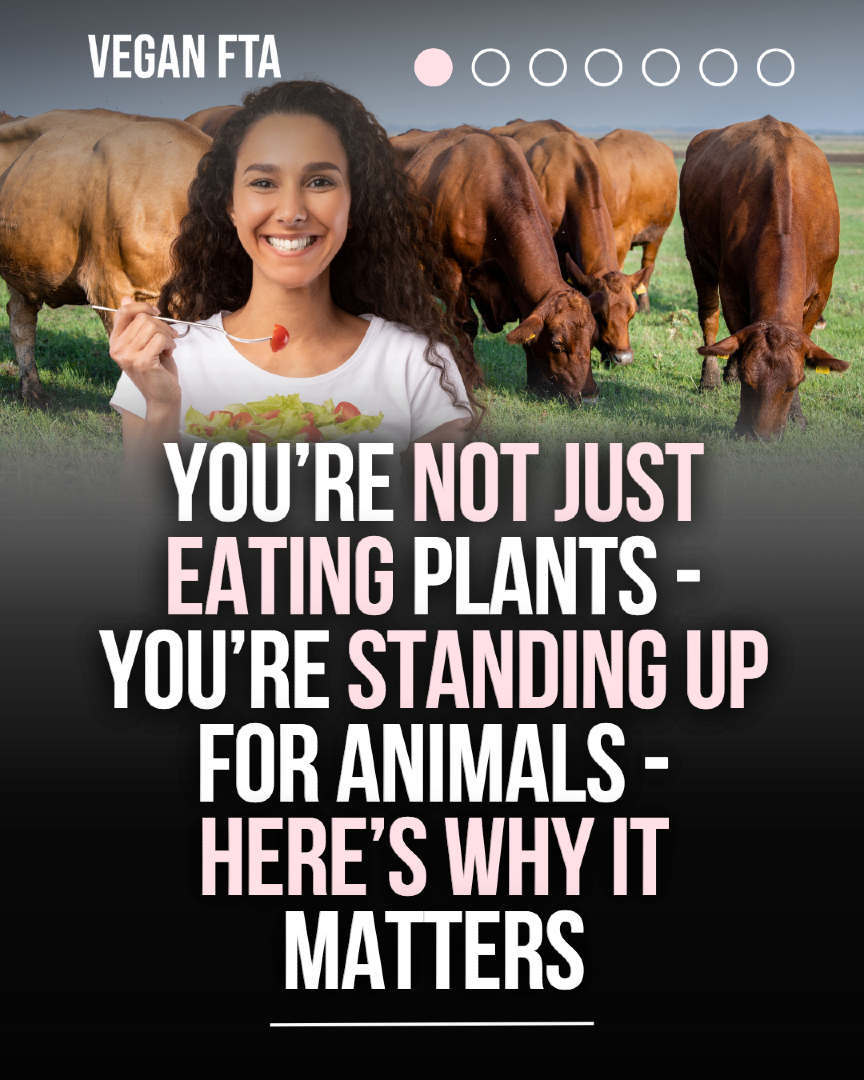Veganism isn’t just about food – it’s about refusing to support the exploitation of animals. 🙅 From what you eat to what you buy, every choice is a stand for freedom and compassion. Here’s why that matters. 🌱

👉 Read more: veganfta.com/blog/2025/07/2…

#vegan #veganism #govegan