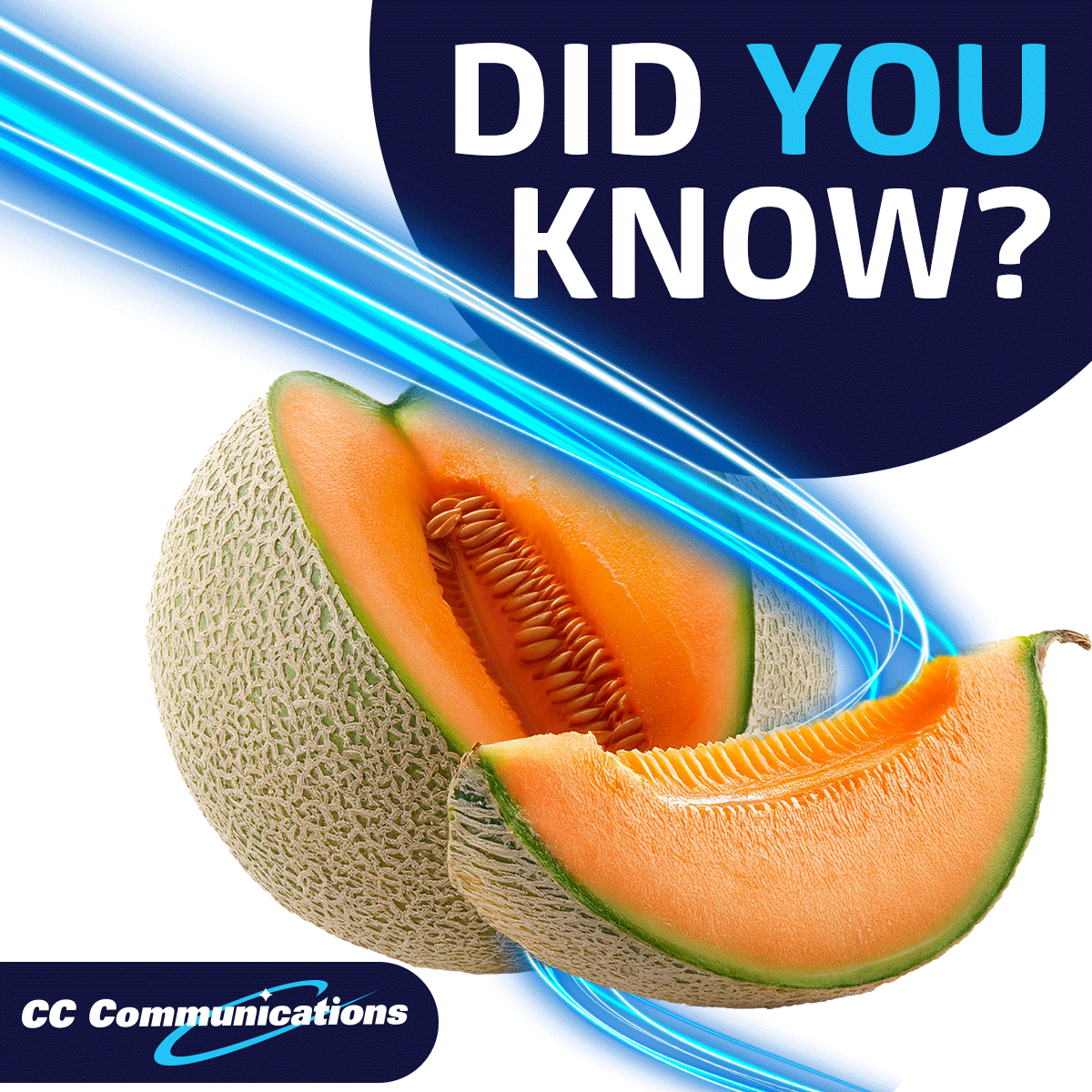 CCComm_Nevada's tweet image. 🍈🎉 Fun Ag Fact! Did you know Churchill County grows 70% of Nevada’s cantaloupes? 🌱

Just like our community’s crops, #CCCommunications delivers the sweetest internet around. 🍈💻

Catch us in the #LaborDayParade on Sept. 1st at 10am—we’ll be celebrating #YouthInAg 🚜✨