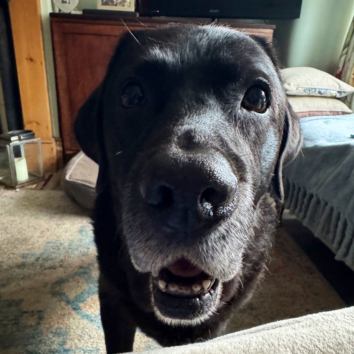 Mummmm I’m starving it must be dinner time #stomachonlegs #alwayshungry 💜