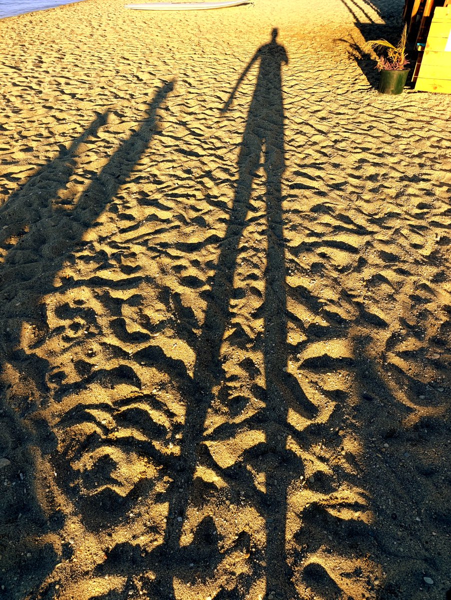 Come to Red Star bro