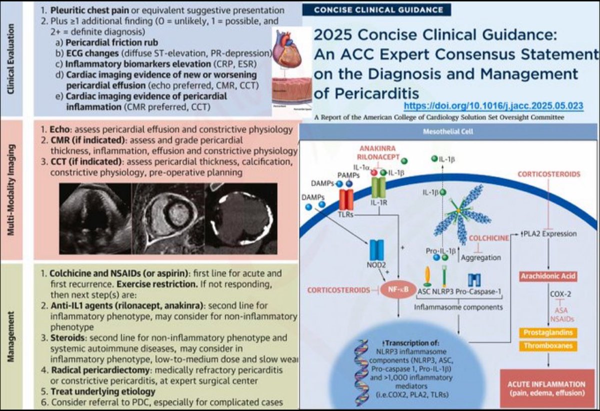 ImagenCardiaca's tweet image. #ESC2025xSEIC sin duda uno de los momentos esperados son las nuevas guías del diagnóstico y manejo de enfermedades del pericardio ..deseando ver las novedades