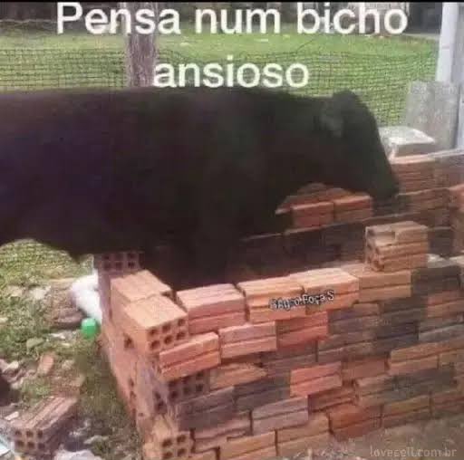 pensando na minha roupa pro show da chappelll