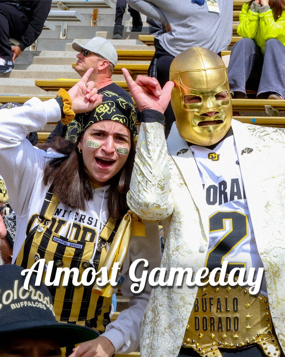 sbs_cu's tweet image. 🚨ALMOST GAMEDAY🚨

BUFFS FOOTBALL IS BACK‼️

One more sleep until gameday...

@CUBuffsFootball #SkoBuffs #GoBuffs #AlmostFriday  #AlmostGameday #BeatGTech