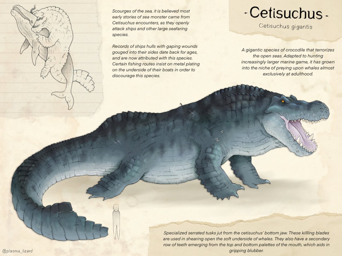 Cetisuchus, the Whale Hunting Crocodile