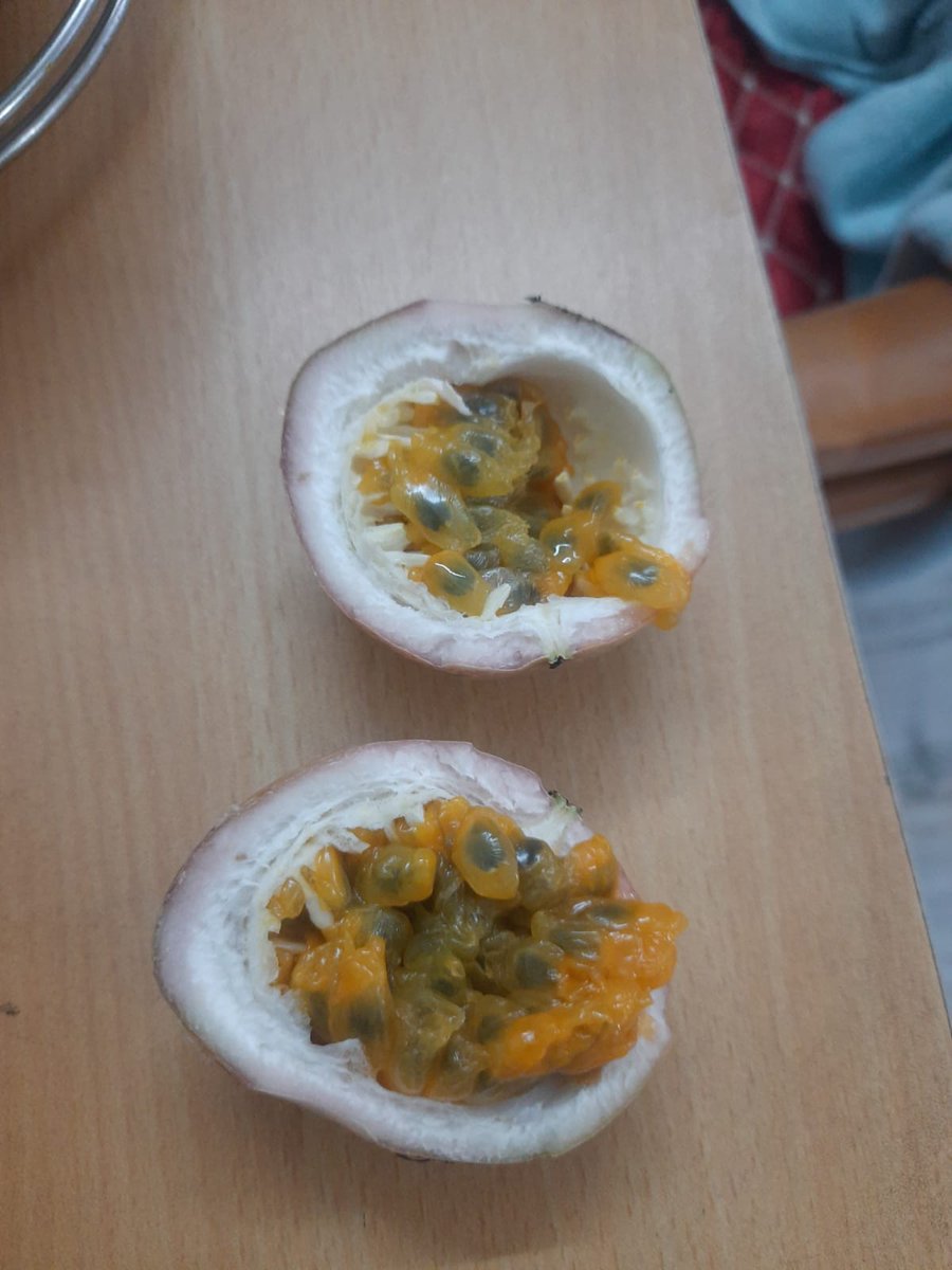 First one, homegrown😍