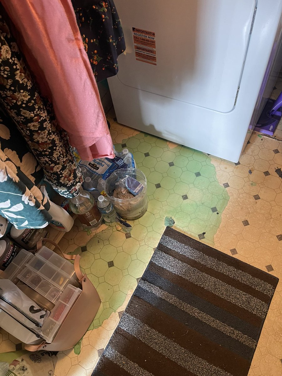 MadsChild's tweet photo. In case anyone is curious, gain detergent 10/10 air freshener 0/10 floor polish. Very slippery would not recommend for the floors of the elderly. https://t.co/ppFK6kzMjy