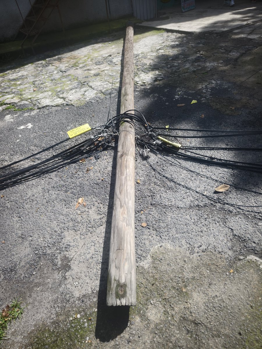 Fernando Loaiza tweet media