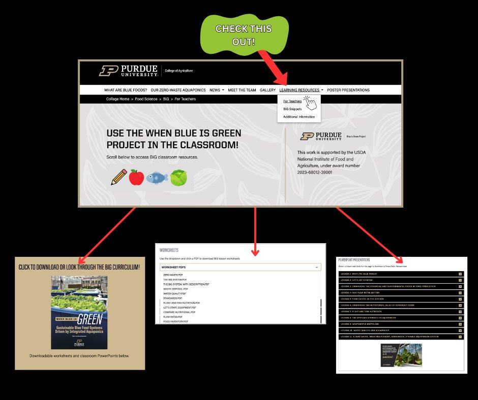 When Blue is Green Project tweet media