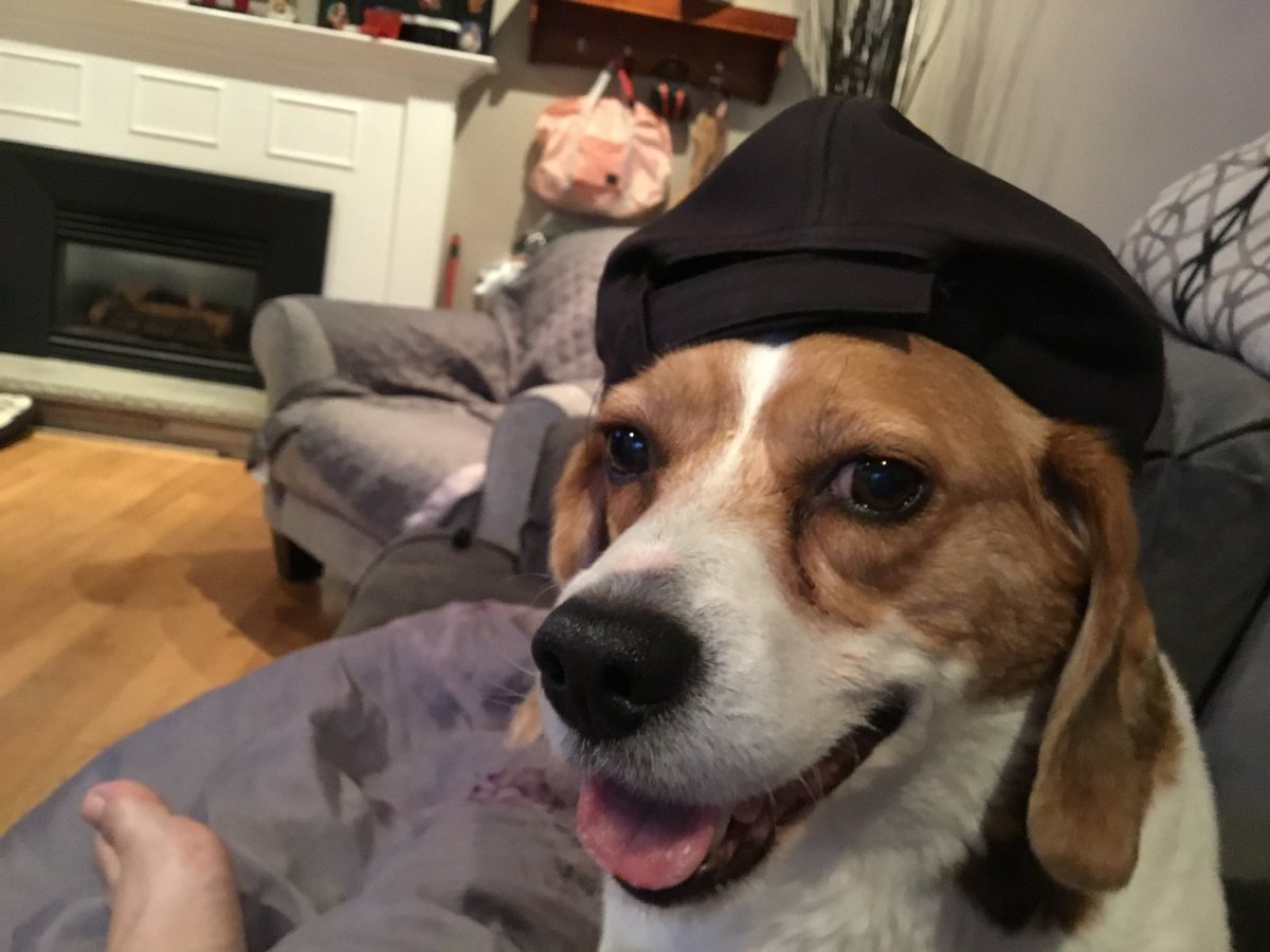 HGR 🅁🅅🄽 tweet media