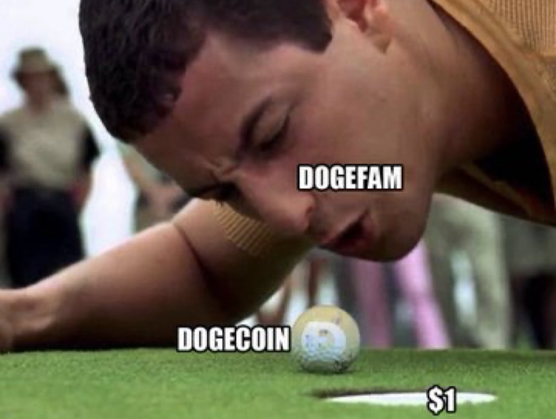 The $DOGE community will help $DOGE reach $1. 📈 🚀 🌙