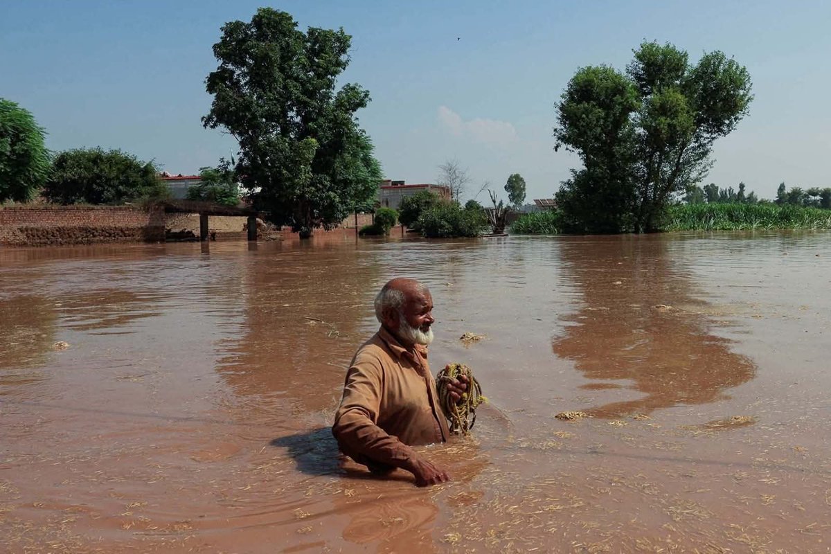INFPakistan's tweet photo. We need your support for flood victims families please donate now
Call +923152699530 #Floodrelief #Punjabflood #donate #helpingfloodvictams #Flood #FloodsInPakistan #Flood2025 #FloodAlert #Floods2025 #charitywork #support #fundraising #humanity #Donation #PunjabFloods https://t.co/RwCpjmakIL