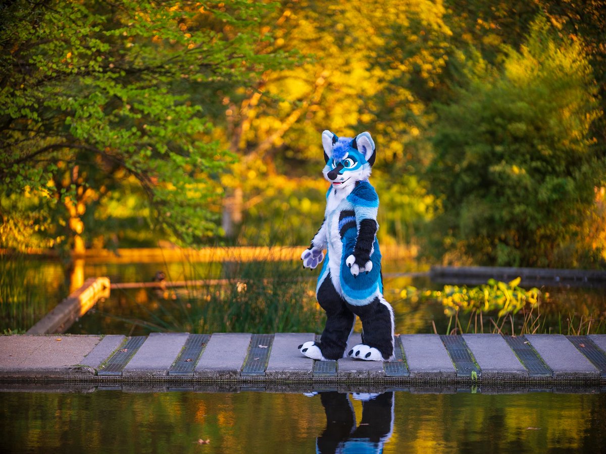 Hi, I still have one free photoshoot slot at EF next week.

200€ for 45 minutes/40 pics, shorter/cheaper options possible, same price for groups.

Hit me up if you’re interested!

Examples from last year below…