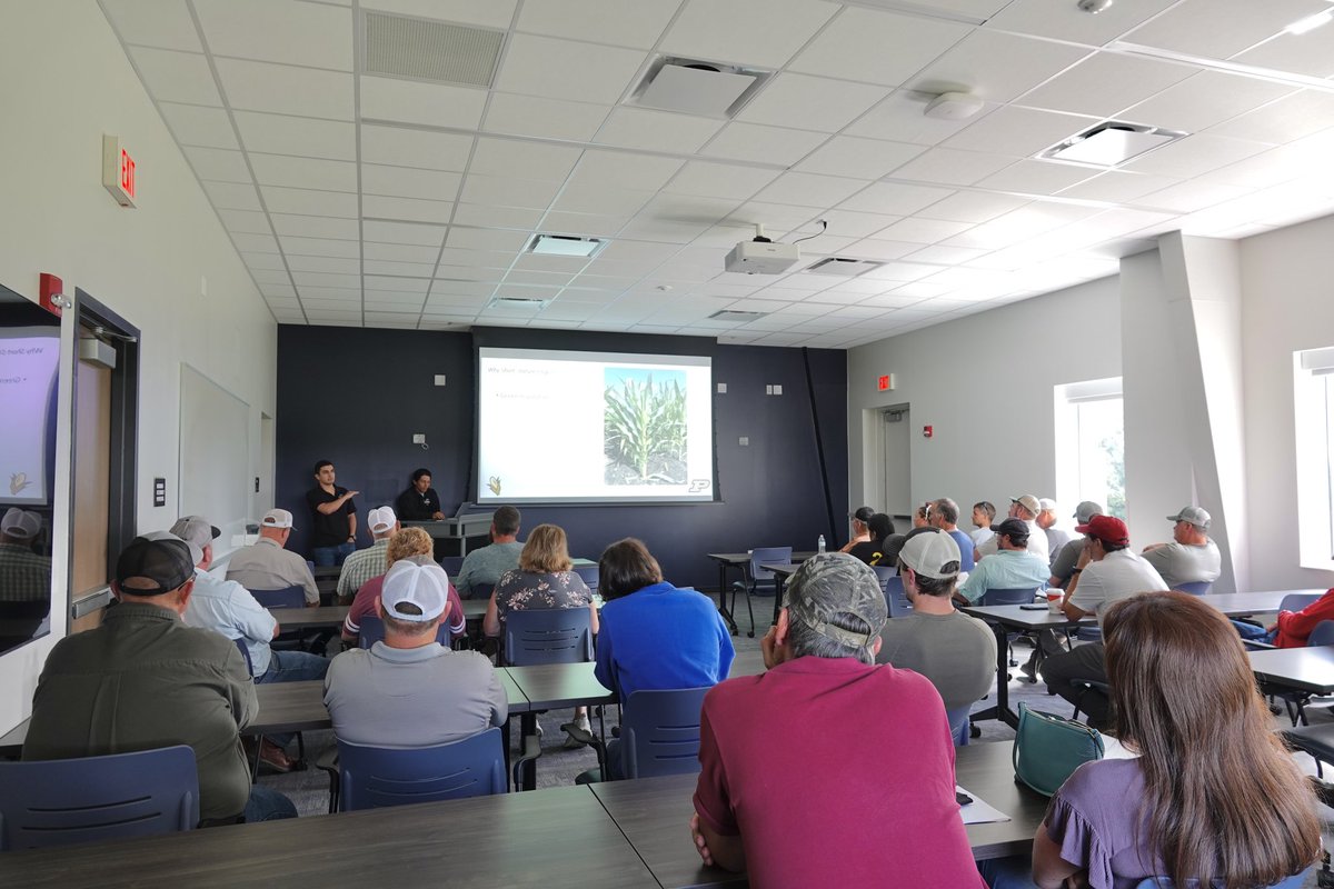 The Kernel Lab tweet media