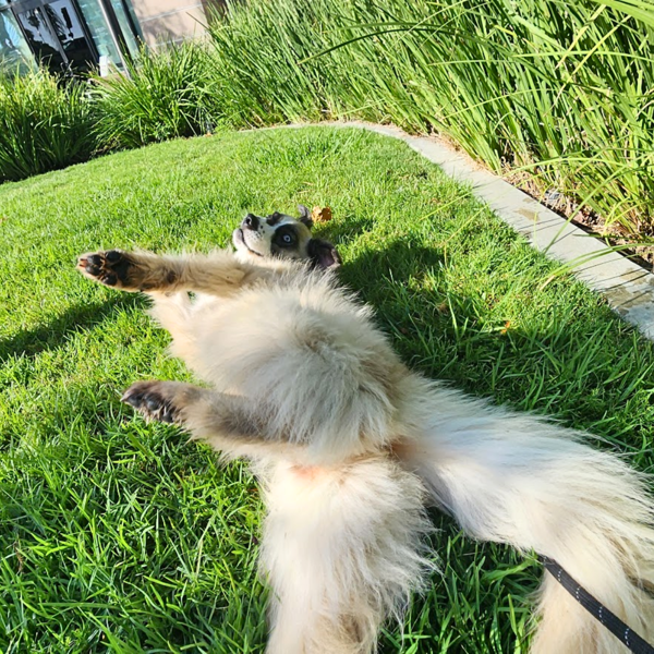 Off the Clock tweet media