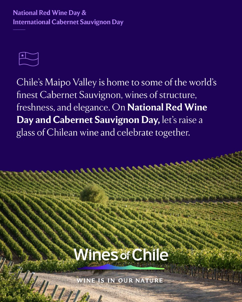 DrinkChile's tweet photo. Aug 28 celebrates both National Red Wine Day &amp; Cabernet Sauvignon Day. 🍷
From Bordeaux to Chile’s Maipo Valley, Cabernet remains the king of reds – a global story of power, elegance &amp; recognition.

#CabernetSauvignonDay #ChileanWine https://t.co/tHWcvEnmVb