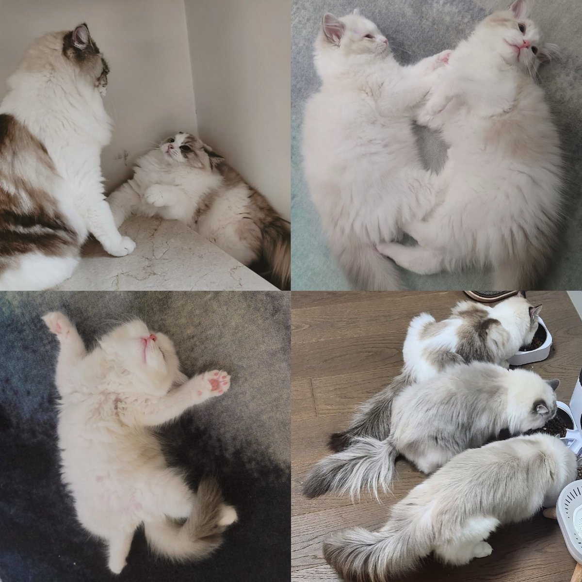 njmhae's tweet image. L-O-V-E

jaemin ver.                                        triple lu ver.