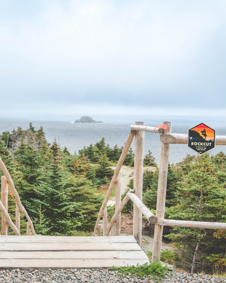 UnscriptedF's tweet image. From vibrant workshops to unforgettable music, every moment is a celebration of connection and creativity!

Be part of it: unscriptedfestival.com

#Unscripted2025 #UnscriptedFestival #Twillingate