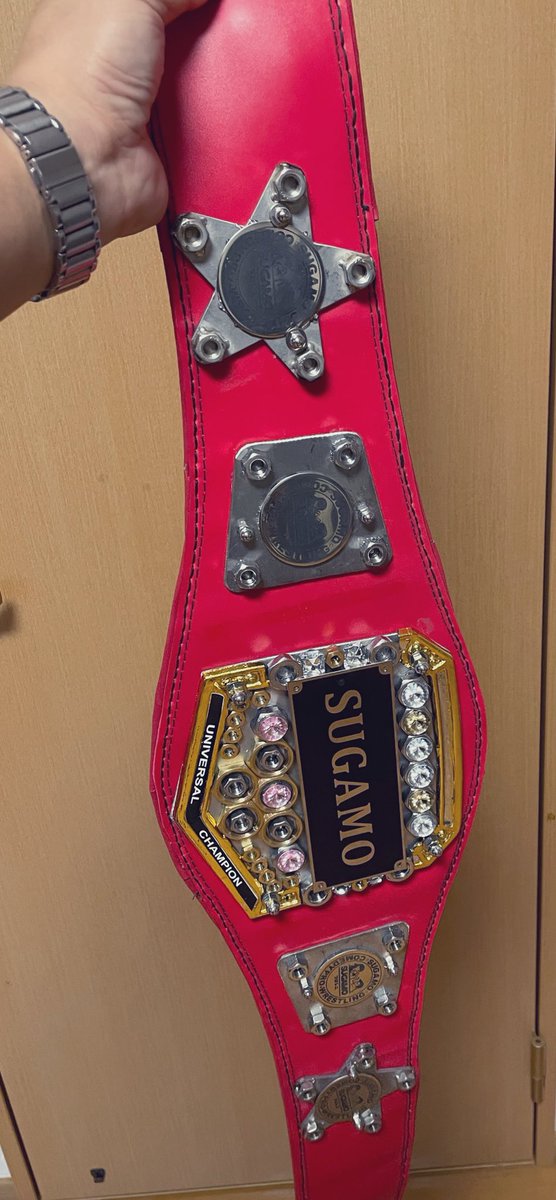 SUGAMOプロレスさんに制作した〝スクラップ材で作るチャンピオンベルト〟の評判が凄く良いです。

おかげ様で各方面から問い合わせが多数来ます。

あくまでもこれは私が隙間時間で作れる範囲のお手製のクオリティである事をご理解いただけますようお願いします。