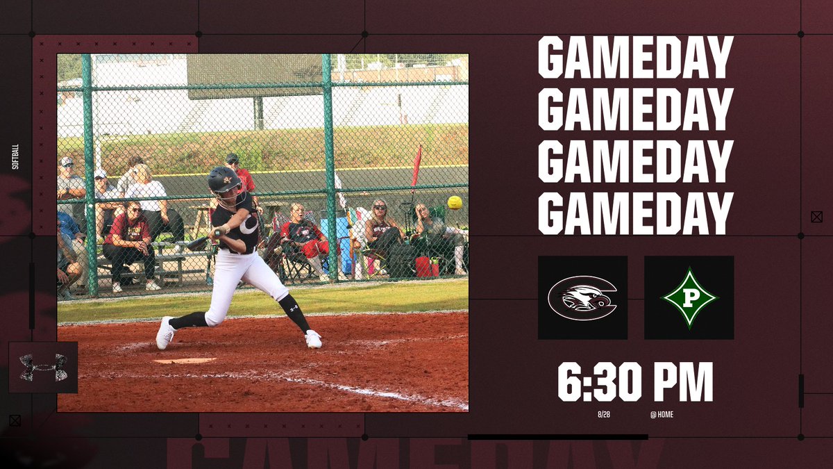 ChestateeAthletics tweet media